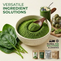 Poudre d'épinards hydrosoluble Astrawell pour smoothies, non-OGM, extrait vert pur, super-aliment en poudre