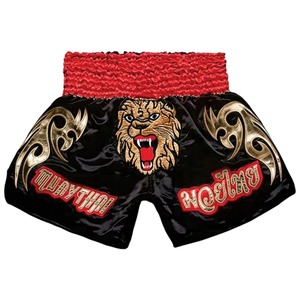 ERID SPORTS Shorts de Muay Thai pour hommes de haute qualité, imprimés en sérigraphie avec logo personnalisé, détection par aiguille, polyester 160g, pour Kickboxing MMA - Product Image 2
