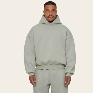 Sudadera con Capucha Gris Claro para Hombre, Corte Holgado, Color Sólido, Estilo Casual Otoñal, Felpa Francesa de Algodón, con Bolsillo - Product Image 1