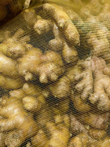 Jengibre natural/Ingwer/Jengibre | Listo para exportar (WA: + 84366808683) - Product Image 3