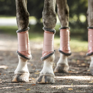 Botas de Protección para Caballos de Primera Calidad con Acolchado Adicional para Absorción de Impactos y Protección Completa de Tendones y Articulaciones - Product Image 5