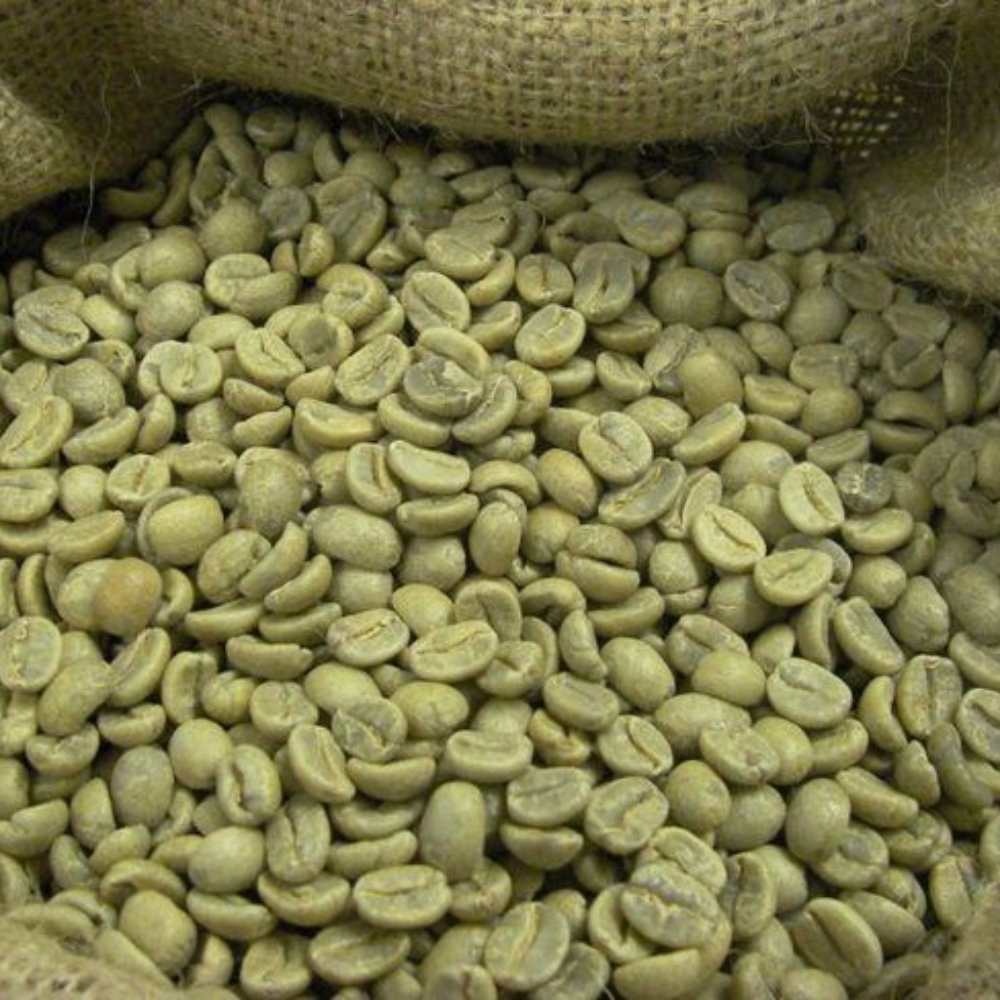 Высококачественные органические кофейные зерна Robusta оптом зеленые кофейные зерна цена вьетнамского сельского хозяйства OEM ODM