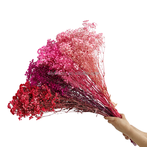 Flor decorativa de Gypsophila de larga duración para bebés, flores de Gypsophila <span class=keywords><strong>eterna</strong></span> preservada, respiración al por mayor - Product Image 2