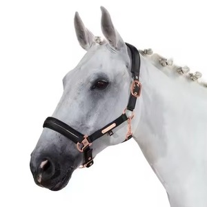 Professional Horse <b>Head</b> Collar English <b>Style</b> High Quality Halter for Stable Training and Outdoor Use Horse <b>Head</b> Collar OEM - Product Image 2