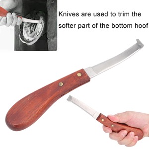 Cuchillo para Pezuñas de Caballo, Cuchillo para Pezuñas de Acero Inoxidable con Mango Cómodo, Cuchillos para Recortar Pezuñas - Product Image 5