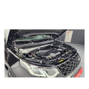 Land Rover Discovery Sport P250 Dynamic SE 2024/12, 842 km, Volante a la Izquierda, Caja de Cambios Automática, Asientos de Cuero, Cámara Trasera - Product Image 6