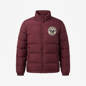 Chaqueta de Plumón Delgada con Logotipo Personalizado para Hombre, Cuello Alto, para Invierno, Venta al Por Mayor, OEM, ODM - Product Image 2