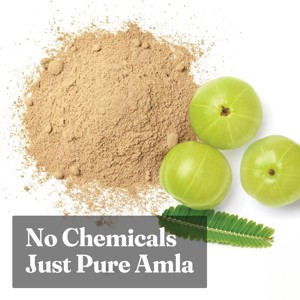 ผงมะขามป้อมธรรมชาติยี่ห้อส่วนตัว 250 กรัม ผงมะขามป้อมอินเดียแท้ 100% สำหรับดูแลเส้นผม ดูแลผิวหน้า มาส์กหน้า และผลิตภัณฑ์ความงาม - Product Image 2