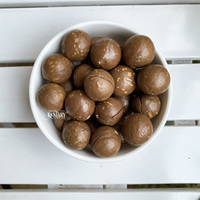 Non-Gmo Vietnamese Macadamia Hoge Kwaliteit Notenkraker Beste Prijs Bulkvoorraad Verse Stijl Cashewnoten Gedroogd Fruit