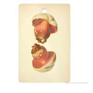 Latest Design Eco-Friendly Modern Luxury Colourful Pattern Mango Wood and Marble Chopping Board <b>Sticker</b> Fine Dining Kitchenware - Product Image 1