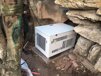 Groupe électrogène essence 1/3 phase 15KVA 20KVA 25KVA 30KVA 50KVA, refroidi par air, générateur au propane, générateur électrique d'urgence