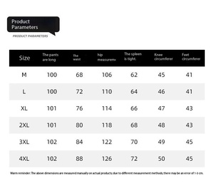 OEM Customized Logo Embroidery Men's <b>Cargo</b> <b>Work</b> <b>Pants</b> Straight Leg Drawstring Mid Waist Multi Pocket Casual Lightweight <b>Pant</b> - Product Image 6