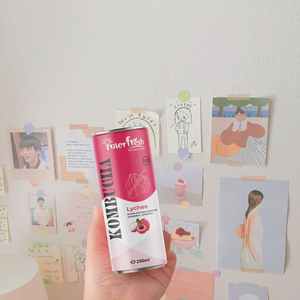 Vietnam Interfresh 250ml Kombucha Fermented Fruit Tea HALAL HACCP ISO Certificado Jugo Saludable para Exportación Suministro de Etiqueta Privada - Product Image 2