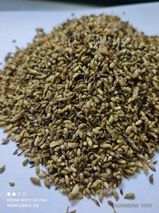 SOPHORA JAPONICA FLOWER Herbal Extract Powder Grade 1 GIMEX Brand Vacuum Packed Plastic Container Vietnam Contact +84984418844 - Product Image 5