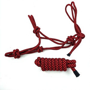 Licol d'entraînement anglais sans mors en corde de polyester colorée pour chevaux, pour usage quotidien en écurie - Product Image 6
