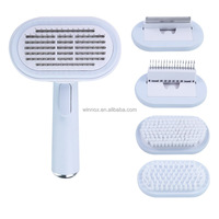 Brosse de toilettage en acier inoxydable pour animaux de compagnie peigne de massage personnalisation en gros fournisseur d'outils de soins de beauté pour animaux de compagnie