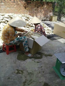 Proveedor de Huesos de Sepia Pulidos a Granel, Cartón de 10 kg con Huesos de 4-5 Pulgadas para Caracoles, Tortugas y Animales Exóticos 19.1 - Product Image 5