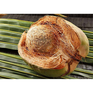 Fibres de noix de coco écologiques et durables en vrac à vendre - Product Image 6