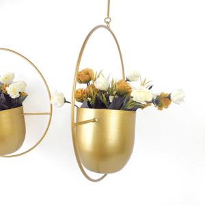 Macetero Colgante de Pared de Metal Dorado, Soporte Redondo para Macetas, Decoración Moderna para Interiores, Hogar y Jardín, Venta al por Mayor OEM, Compra a Granel, Tendencia - Product Image 2