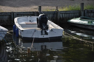 Boston Whalers 9 tendres - Product Image 3
