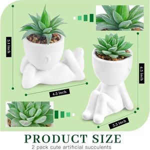 Set di 2 Piante Succulente Artificiali per Decorazione Estetica Interna, per Ufficio, Bagno o Casa, come Accessori da Scrivania - Product Image 2