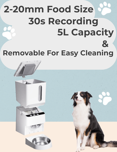 Bols automatiques en plastique pour chats et chiens avec source de charge et protection contre les confitures alimentaires. - Product Image 5