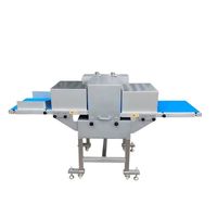 Cortadora de Carne Horizontal Pequeña de Acero Inoxidable Dezoton, Máquina para Filetear Pechuga de Pollo y Tocino con Cinta Transportadora