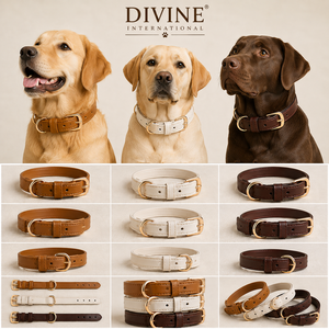 Fabrication de colliers pour chiens en cuir professionnels, vente en gros, étiquette privée personnalisée de Divine International - Product Image 6