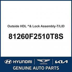 Elantra Nuevo, Otras Piezas y Accesorios para Autos y Camionetas 81260F2510T8S - Product Image 1