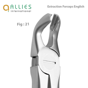 Pinzas Quirúrgicas para Extracción Dental, Resistentes a la Corrosión, de Acero Inoxidable, Pinzas Profesionales para Extracción Dental - Product Image 6
