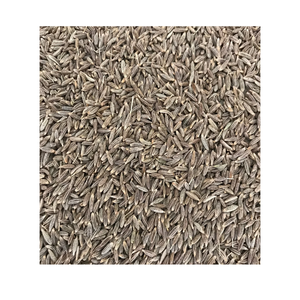 Semillas de Comino Naturales, Granuladas, Secas, Especias Crudas Procesadas, Hierba de Comino en Venta, Comino Entero 100% - Product Image 1