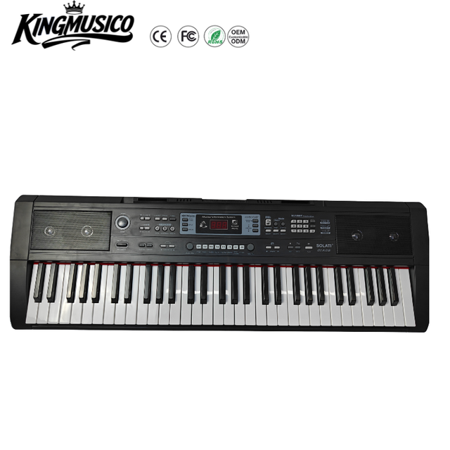 61 Key Portable Electronic Keyboard Piano with 700 Tones 900 Rhythms MP3 Player Beginner Teaching Built-In Speaker Midi USB