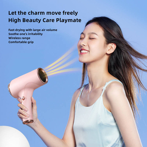 New Wireless <b>Portable</b> <b>AC</b> Motor Plastic Hair Dryer 1800W High Power 3-Speed Negative Ion Battery-Powered Household Travel - Product Image 6