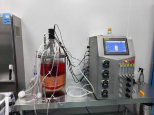 Bailun 15L Système de bioréacteur à lot unique culture de cellules de mammifères bioréacteur de microalgues BLBIO-GJG de récipient en verre - Product Image 4