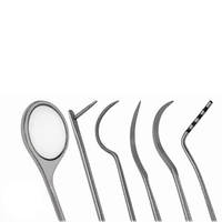 Kit de 6 sondes orthopédiques équin, instruments vétérinaires, outils en acier inoxydable allemand à long manche, haute qualité