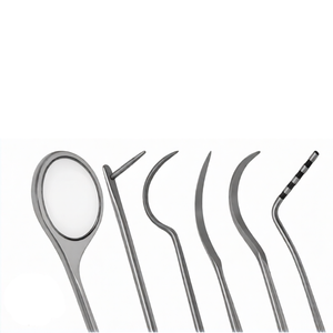 ชุดเครื่องมือขูดหินปูนฟันม้า 6 ชิ้น ชุดอุปกรณ์สัตวแพทย์ ผลิตจากเหล็กกล้าไร้สนิมเยอรมัน ด้ามจับยาว - Product Image 6