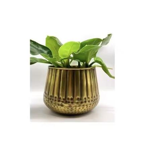 Jardinera metálica para jardín, duradera, perfecta para flores, verduras, hierbas o suculentas. Soporte decorativo de hierro para plantas para el hogar. - Product Image 5