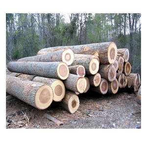 Premium <b>Timber</b> Logs Forestry Grade For Construction And Processing Export - Product Image 2