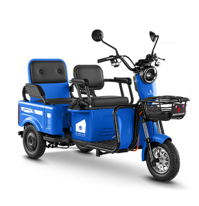Electric Tricycle with LED Light & Horn 3 Speed Lead-Acid Battery 600W 48V Safe Night Riding - Product Image 3