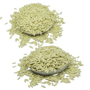 Semillas de Pepino BCA F1 de Alta Calidad, Producto Premium, el Más Vendido de Indonesia, 6 Meses de Vida Útil, Listo para Plantar - Product Image 2