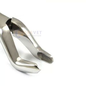 Achetez des forceps chirurgicaux pour l'extraction dentaire Fig.53L pour les molaires supérieures, avec poignée dentelée antidérapante, forceps d'extraction. - Product Image 4