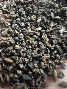 พริกไทยดำเม็ดเล็ก ขนาด 1 มม.-2.5 มม. แบบมีเปลือกแตก วัตถุดิบแห้ง อายุการเก็บรักษา 2 ปี ความละเอียด 80% ออนสกรีน -จัสติน - Product Image 6