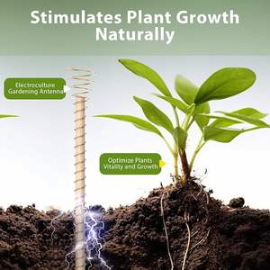 Estaca de Cobre Ecológica Natural para Cultivo de Plantas y Salud, de Fabricante y Proveedor Indio - Product Image 3