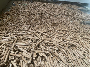 Pellets de madera de pino para sistemas de calefacción de biomasa renovable, calderas industriales de vapor, líneas de secado agrícola y soluciones de confort. - Product Image 5