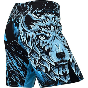 Shorts avec logo personnalisé, shorts MMA de qualité supérieure, fabrication sur mesure, impression, compression MMA multicolore - Product Image 5