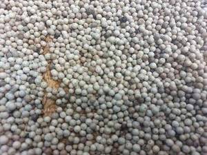Pimienta blanca india de nueva cosecha, limpia, premium, en grano, para proveedores internacionales de servicios de alimentos y compradores de ingredientes. - Product Image 5