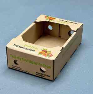 Caja de Cartón para Fruta Fresca de Alta Calidad para Uso Comercial, Materiales Reciclados Ecológicos, Fabricante Vietnamita de Cajas de Papel con Servicio OEM y ODM - Product Image 1