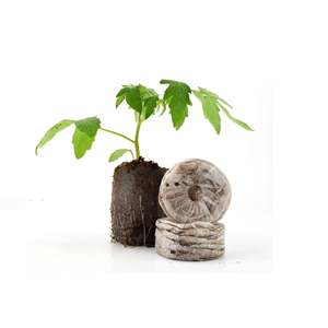 Coco Pellet For Seed Starting - Rich Root Trainer Coco Peat Tablets Good Price Bulk Available by Manufacturers Eco2go - Product Image 6