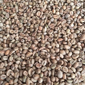 Granos de Café Robusta en Oferta, Proceso Natural, Criba 13, Materia Prima Limpia para Tostado, Exportación de Fábrica, Metrang Export - Product Image 3