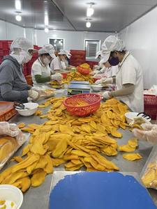 Organic Dried Mango Slices IQF Dried Sweet Tropical Fruit Snack Bulk Packaging Vietnam Origin <b>Chewy</b> for Retail and Importers - Product Image 6